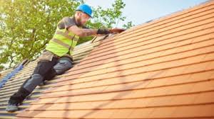 Best Skylight Installation and Repair  in Arcadia, WI