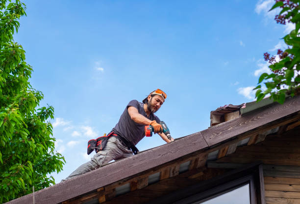 Best Roof Ventilation Installation  in Arcadia, WI